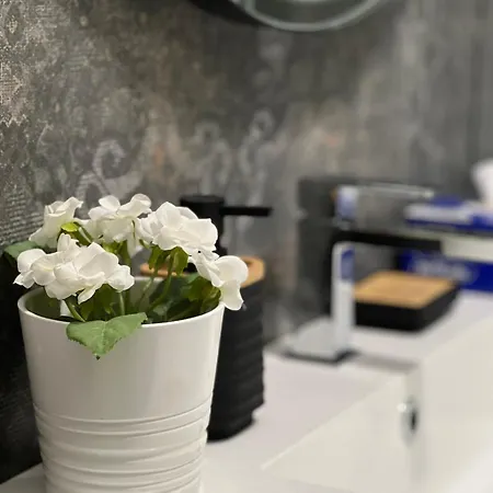 Plumbird Boutique & Apartment-3